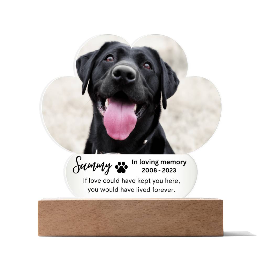 Personalized Pet Memorial LED Lighted Paw Plaque