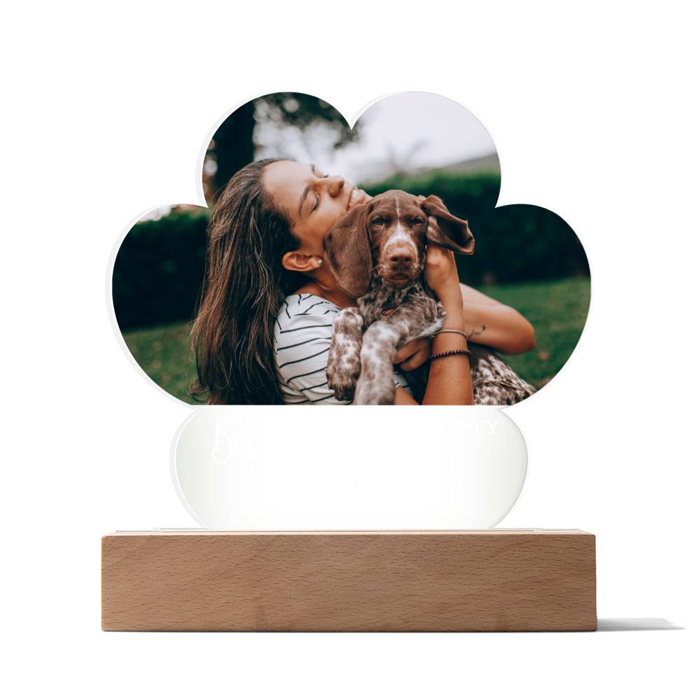 Personalized Pet Memorial LED Lighted Paw Plaque