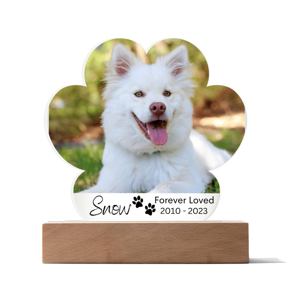 Personalized Dog Memorial LED Lighted Paw Plaque