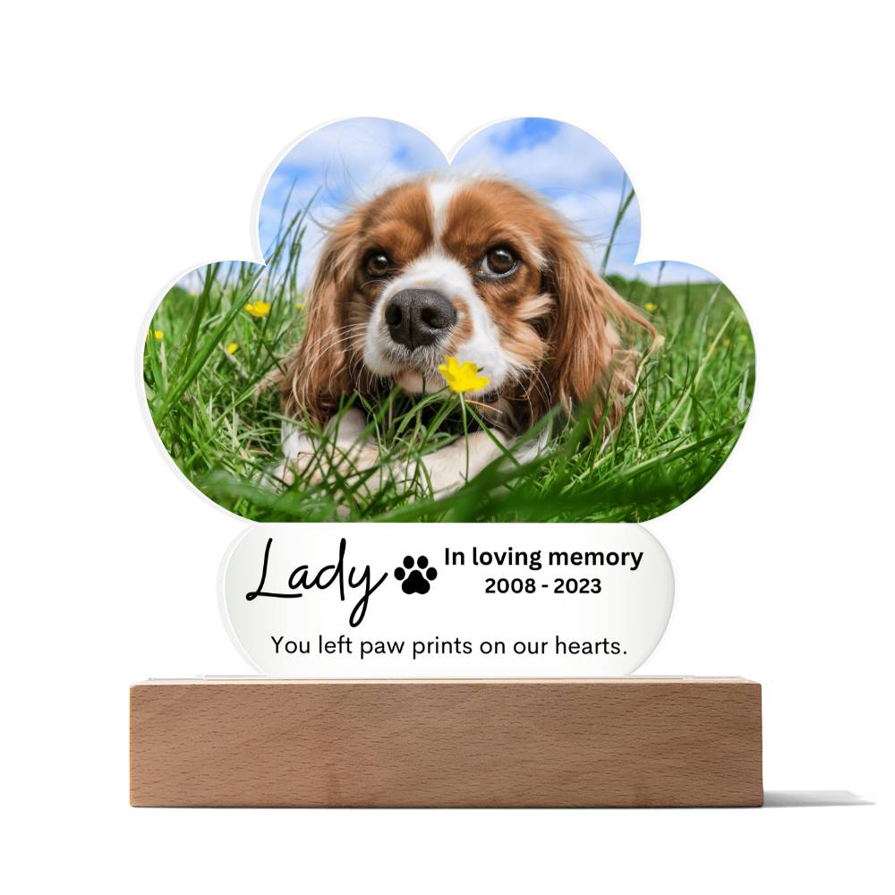 Personalized Pet Memorial LED Lighted Paw Plaque