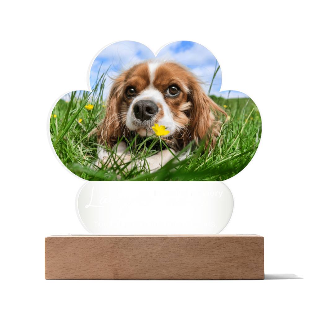 Personalized Pet Memorial LED Lighted Paw Plaque