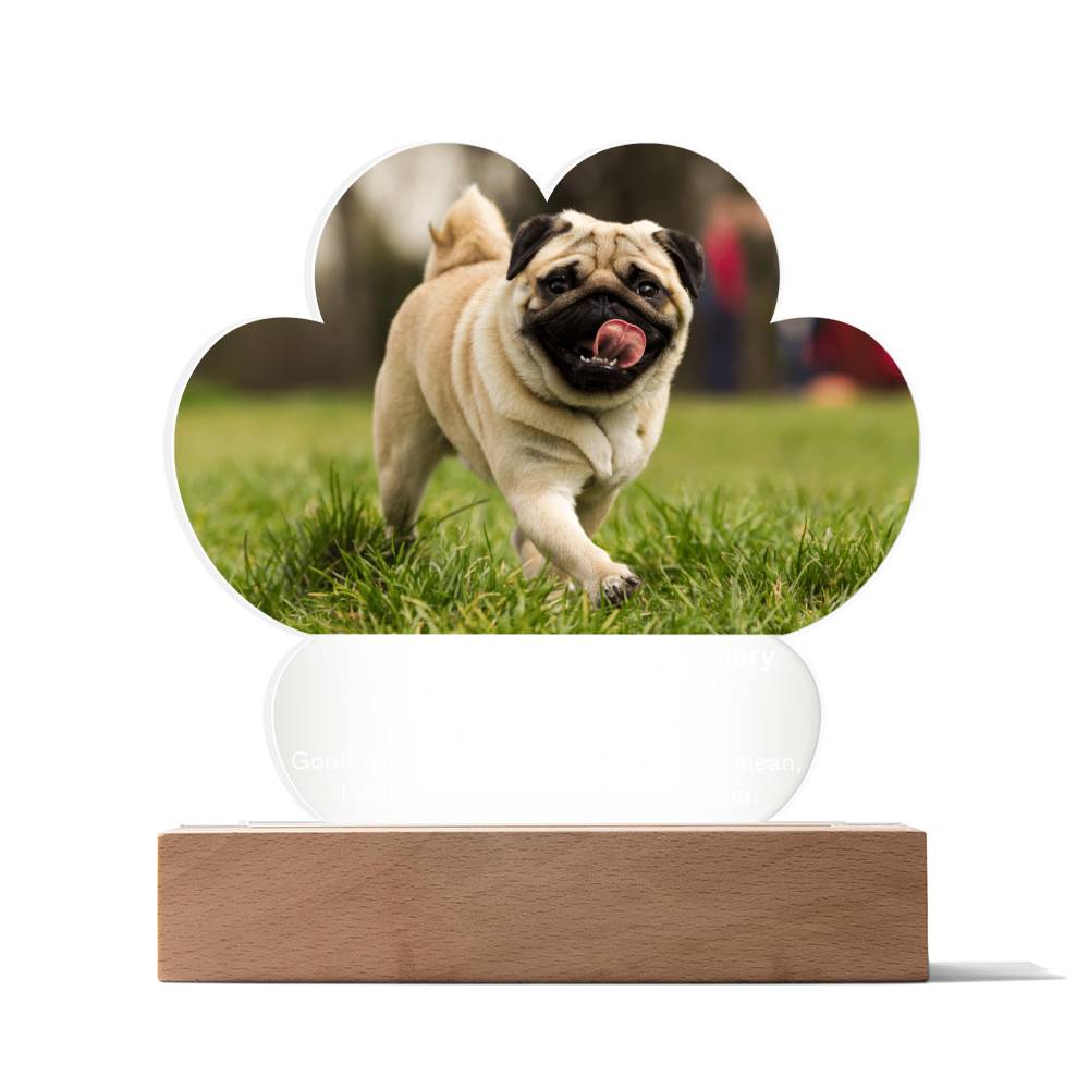 Personalized Pet Memorial LED Lighted Paw Plaque