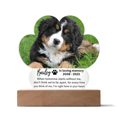 Personalized Pet Memorial LED Lighted Paw Plaque