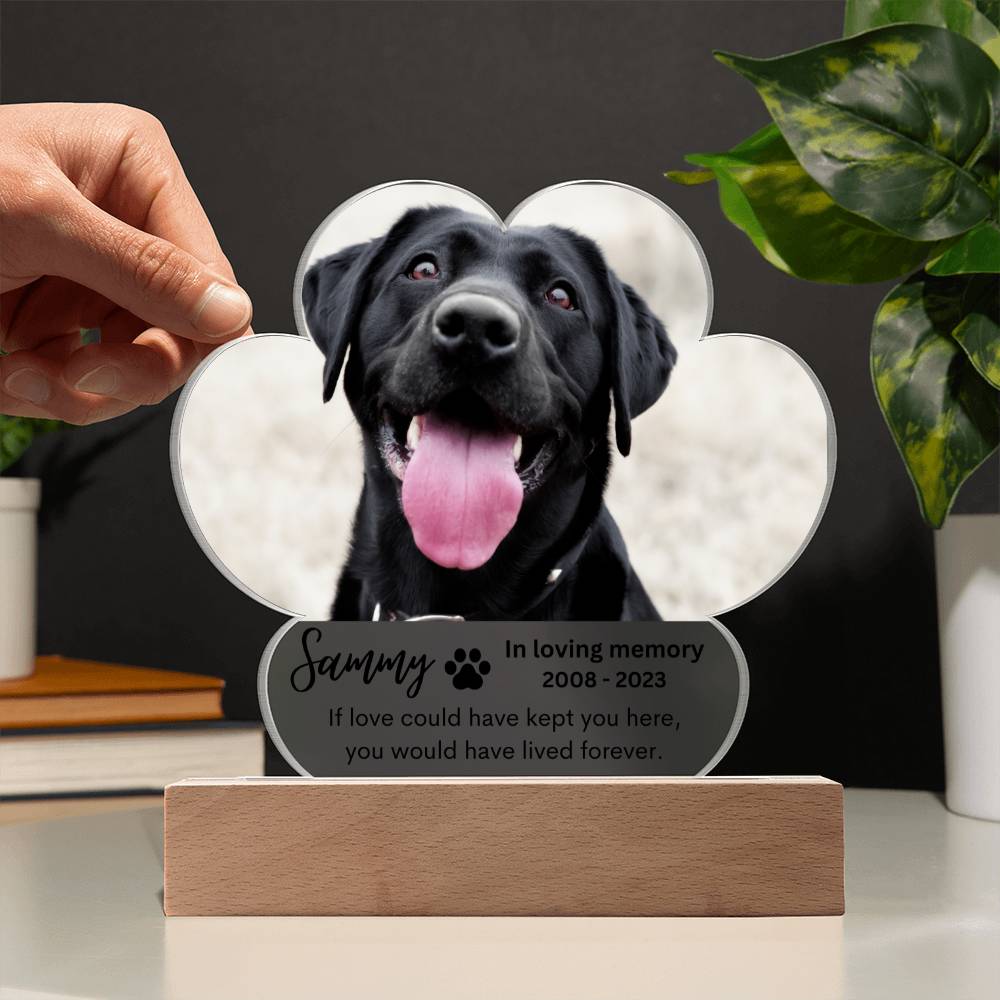 Personalized Pet Memorial LED Lighted Paw Plaque