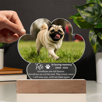 Personalized Pet Memorial LED Lighted Paw Plaque