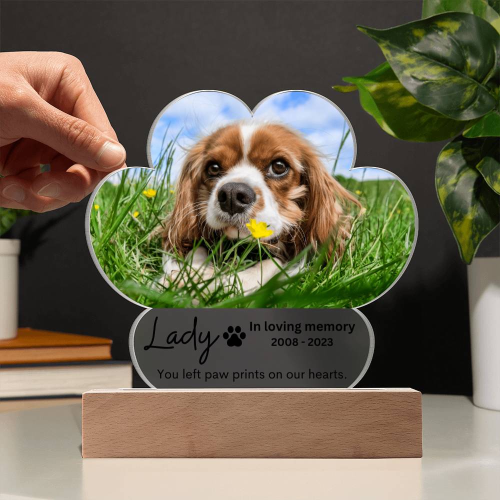 Personalized Pet Memorial LED Lighted Paw Plaque