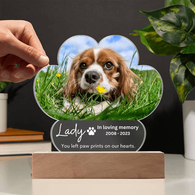 Personalized Pet Memorial LED Lighted Paw Plaque