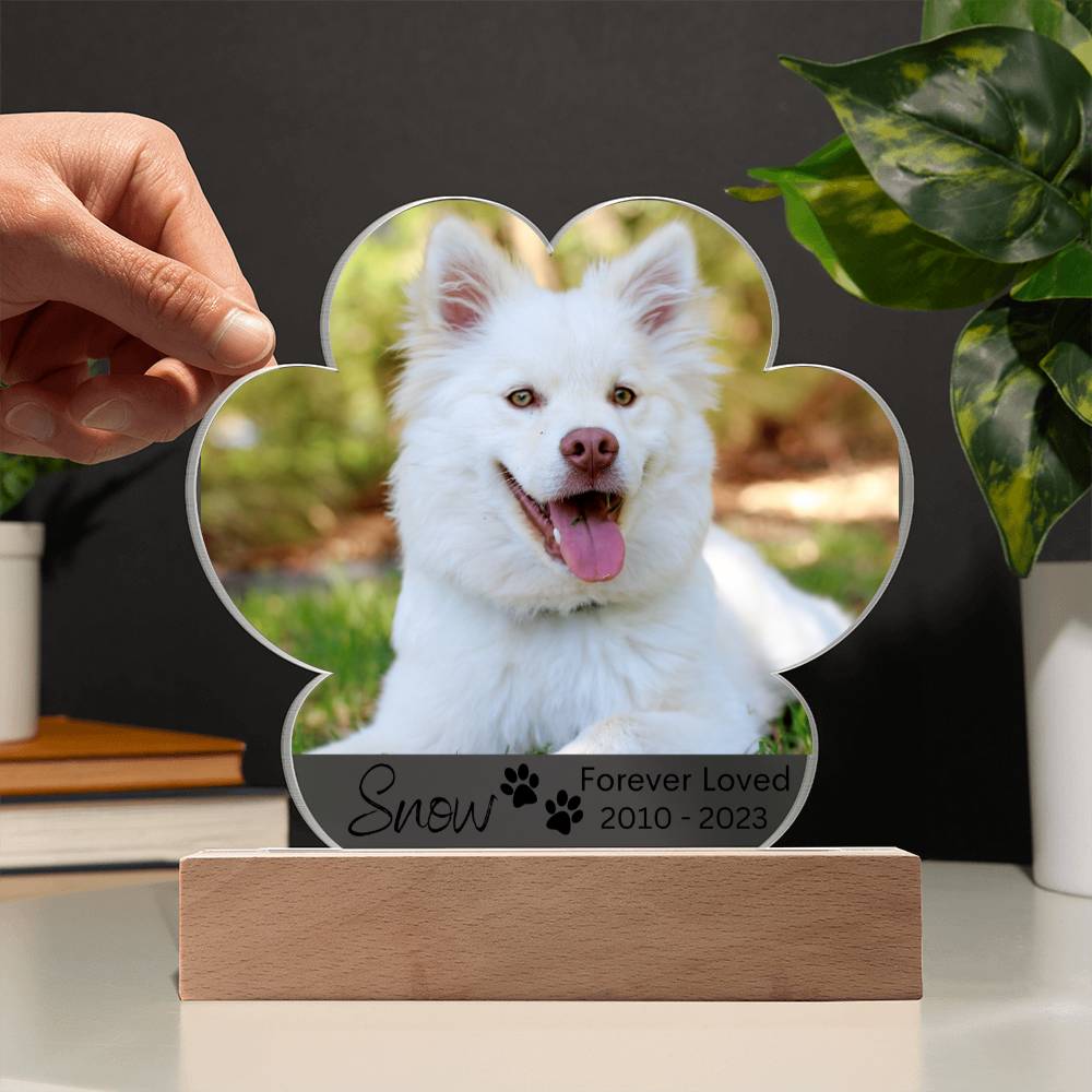 Personalized Dog Memorial LED Lighted Paw Plaque