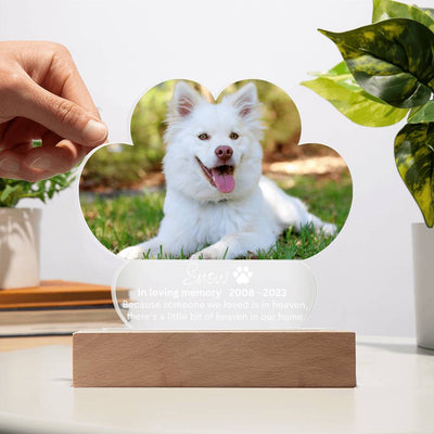 Personalized Pet Memorial LED Lighted Paw Plaque