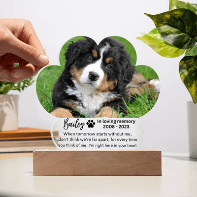 Personalized Pet Memorial LED Lighted Paw Plaque