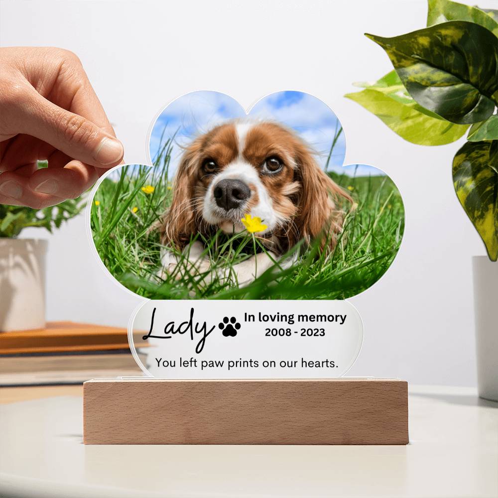 Personalized Pet Memorial LED Lighted Paw Plaque