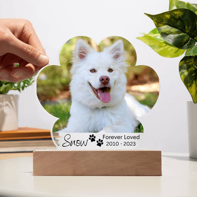 Personalized Dog Memorial LED Lighted Paw Plaque