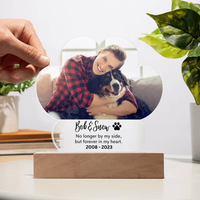 Personalized Pet Memorial LED Lighted Paw Plaque