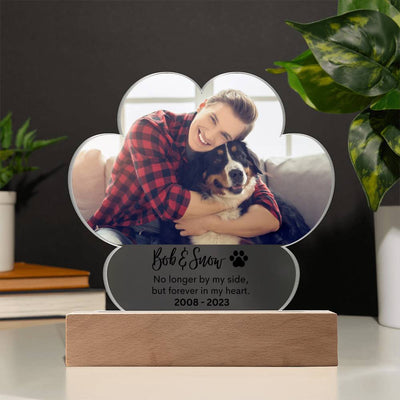 Personalized Pet Memorial LED Lighted Paw Plaque