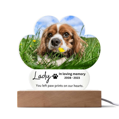 Personalized Pet Memorial LED Lighted Paw Plaque