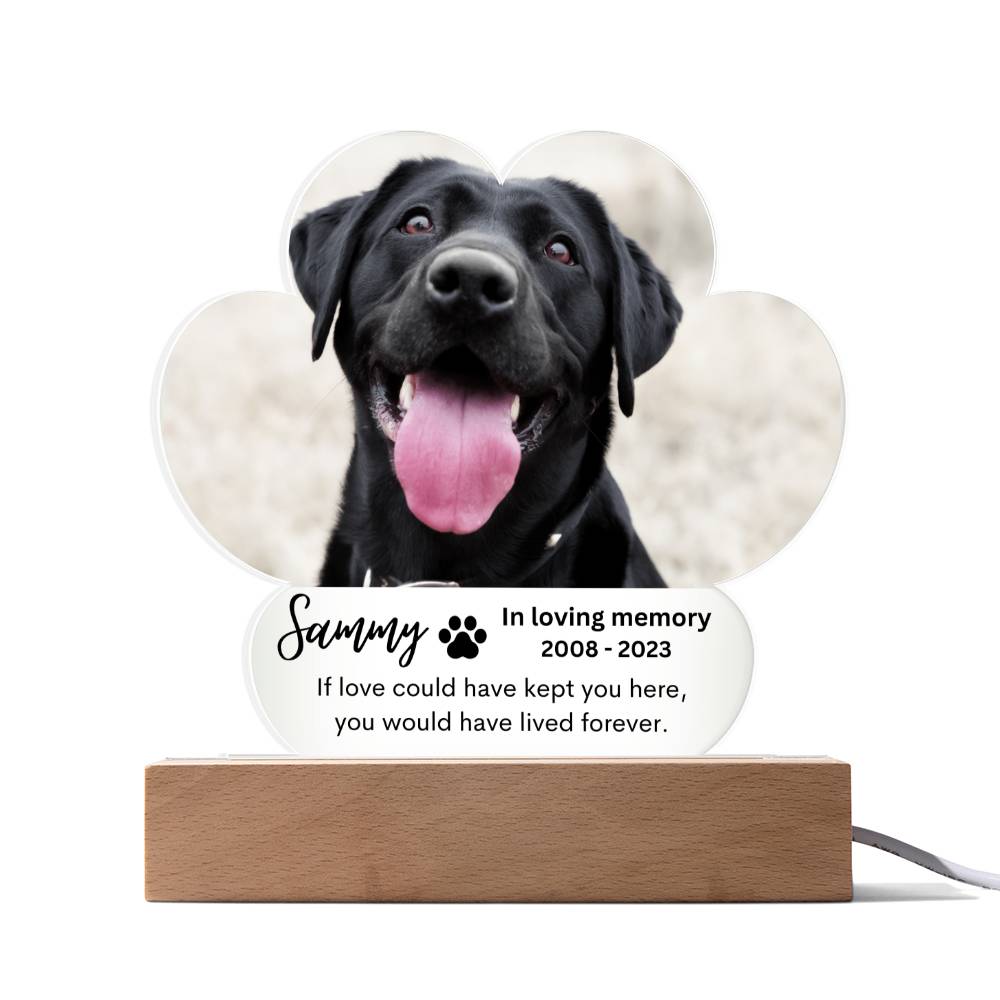 Personalized Pet Memorial LED Lighted Paw Plaque