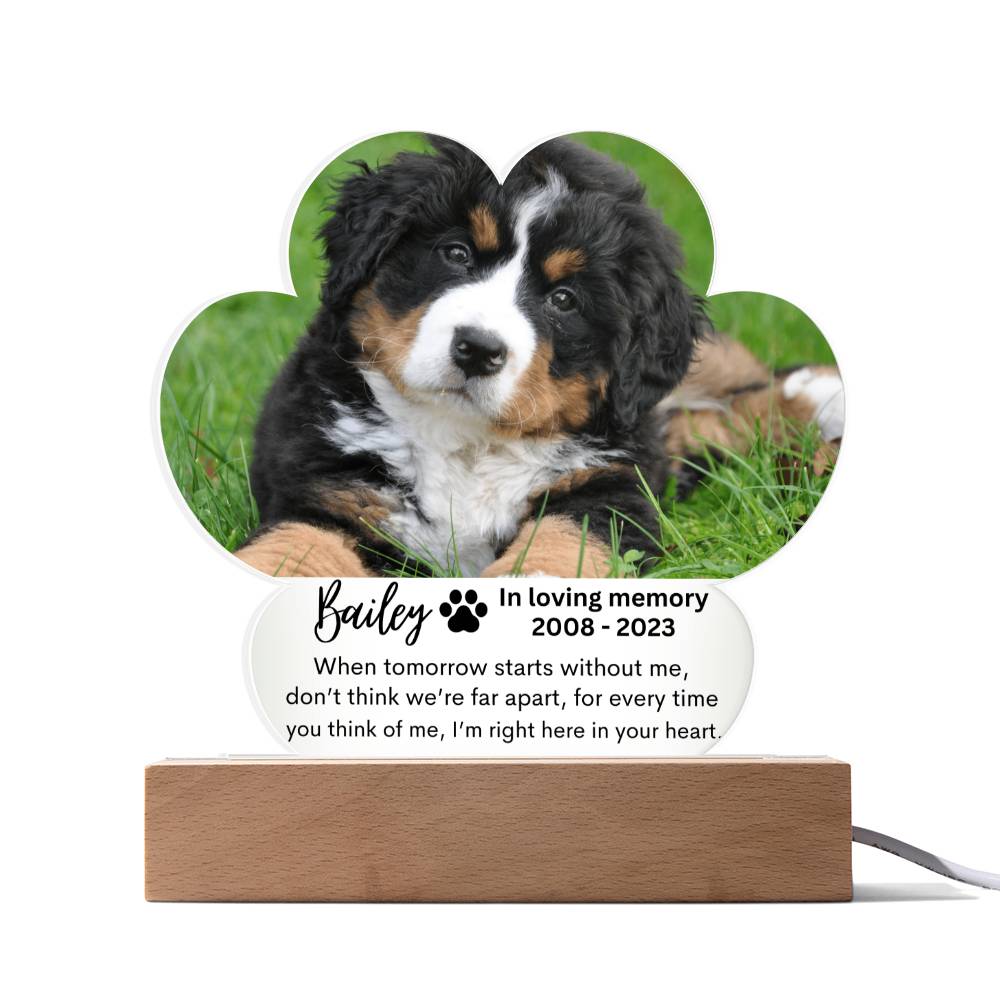 Personalized Pet Memorial LED Lighted Paw Plaque