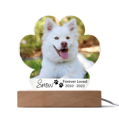 Personalized Dog Memorial LED Lighted Paw Plaque