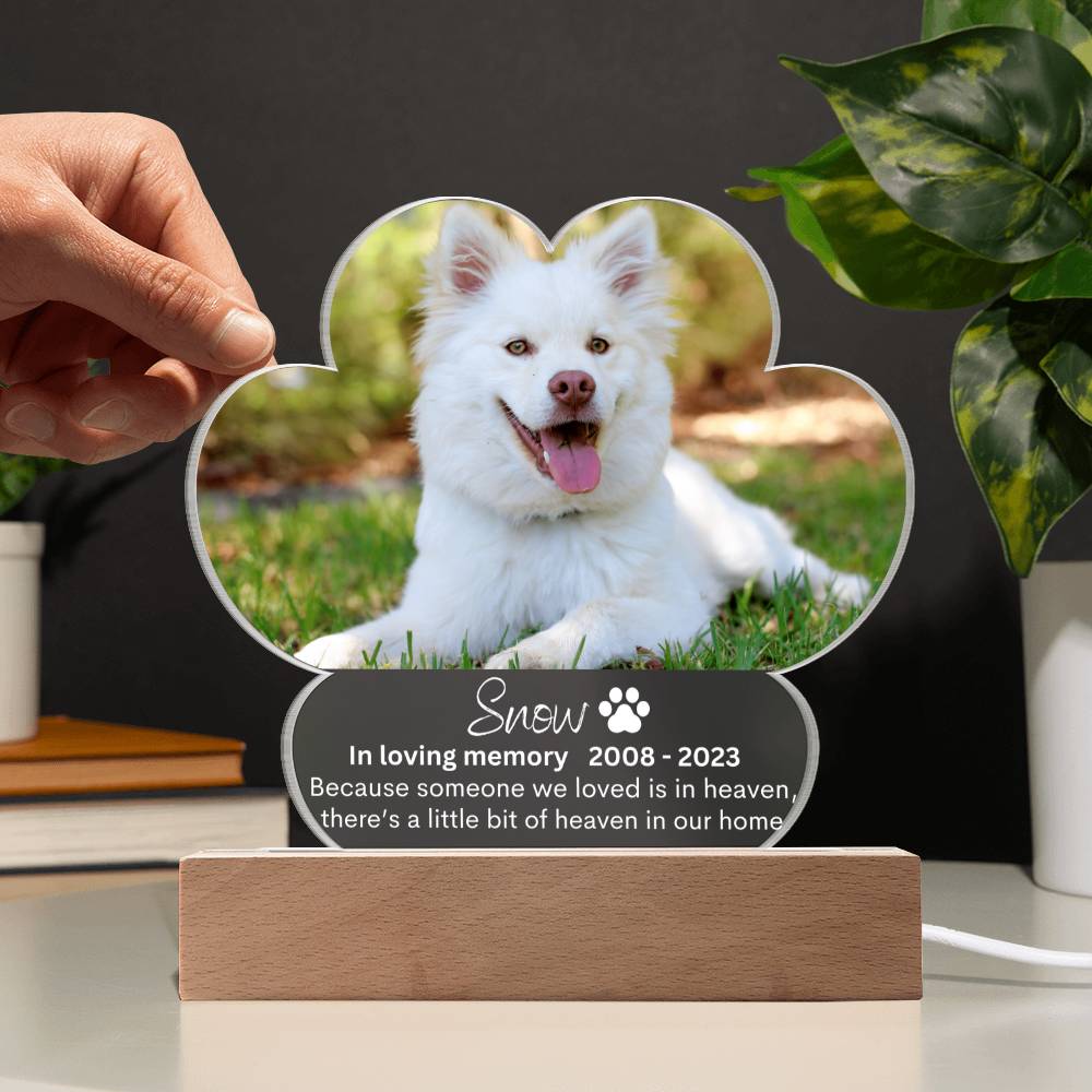 Personalized Pet Memorial LED Lighted Paw Plaque