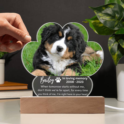 Personalized Pet Memorial LED Lighted Paw Plaque