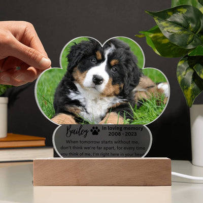 Personalized Pet Memorial LED Lighted Paw Plaque