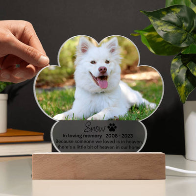 Personalized Pe Memorial LED Lighted Paw Plaque