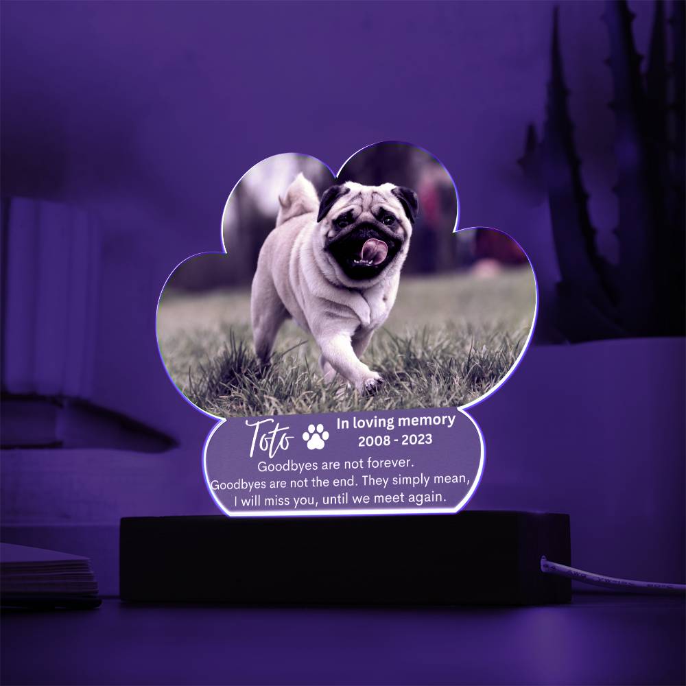 Personalized Pet Memorial LED Lighted Paw Plaque