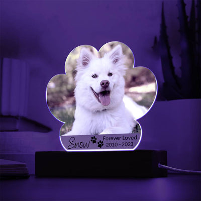 Personalized Dog Memorial LED Lighted Paw Plaque