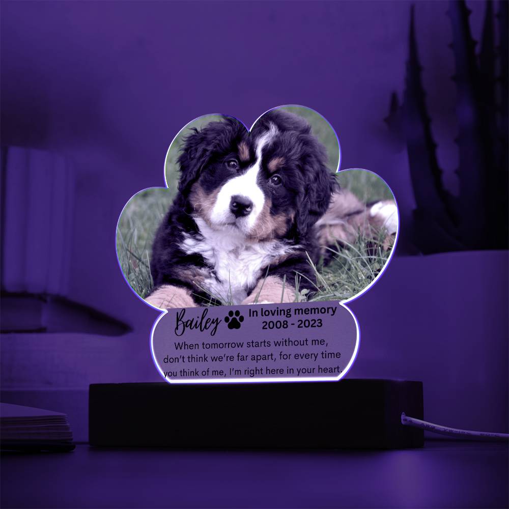 Personalized Pet Memorial LED Lighted Paw Plaque