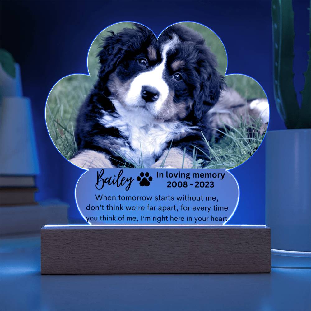 Personalized Pet Memorial LED Lighted Paw Plaque