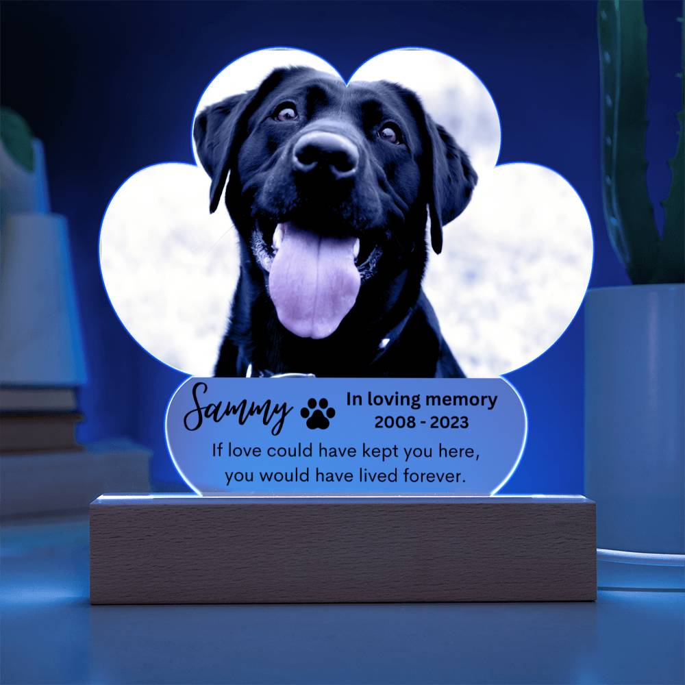 Personalized Pet Memorial LED Lighted Paw Plaque