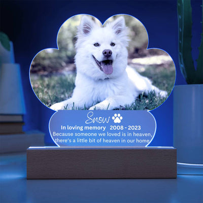 Personalized Pet Memorial LED Lighted Paw Plaque