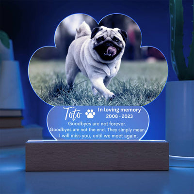 Personalized Pet Memorial LED Lighted Paw Plaque