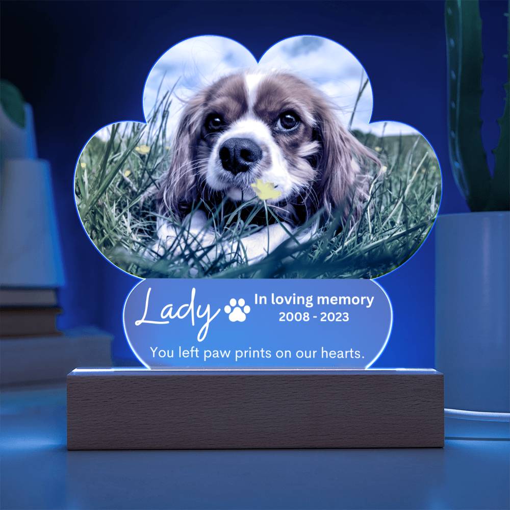 Personalized Pet Memorial LED Lighted Paw Plaque