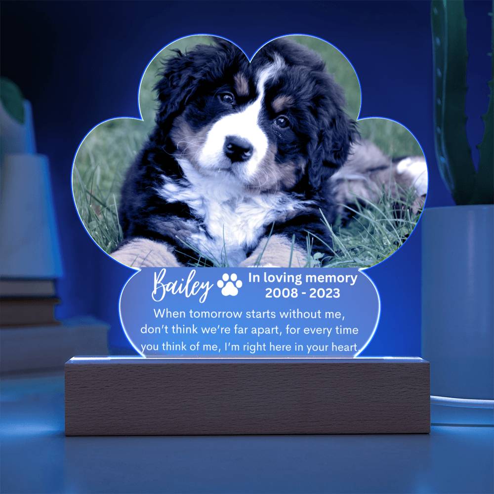 Personalized Pet Memorial LED Lighted Paw Plaque