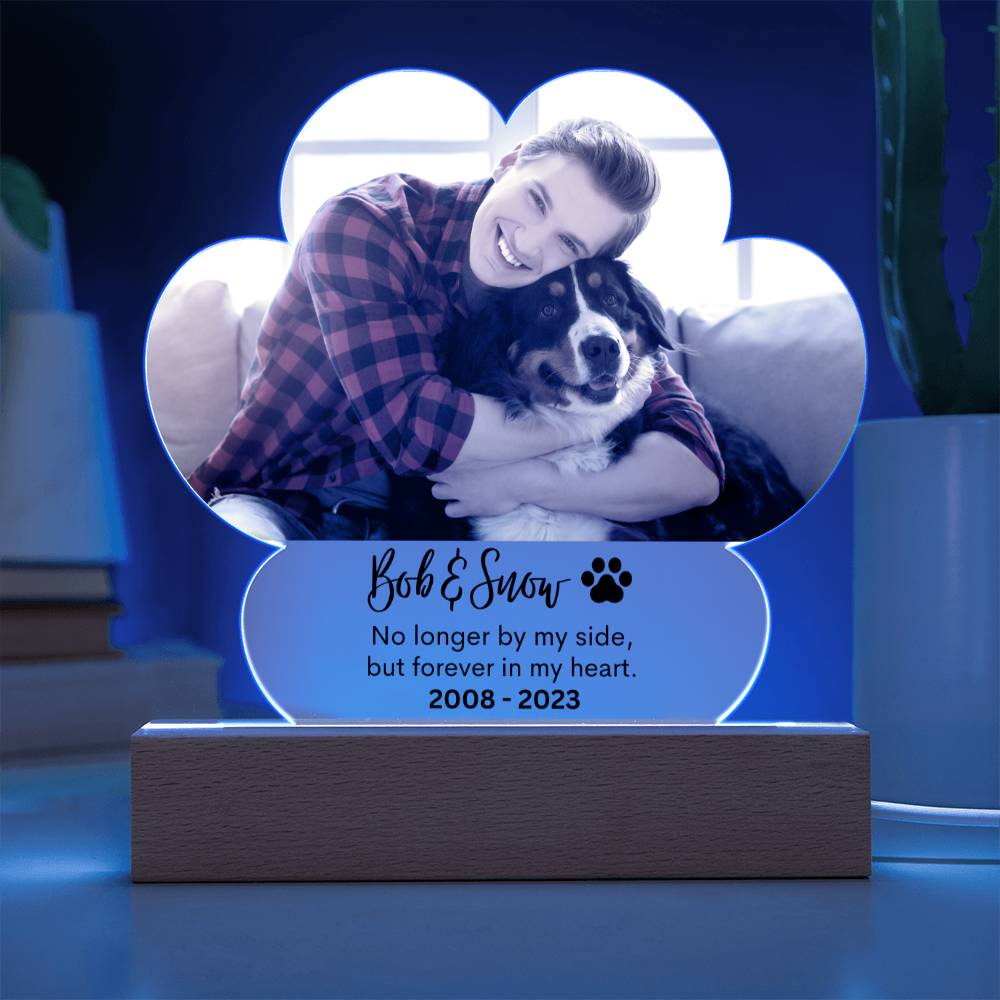 Personalized Pet Memorial LED Lighted Paw Plaque