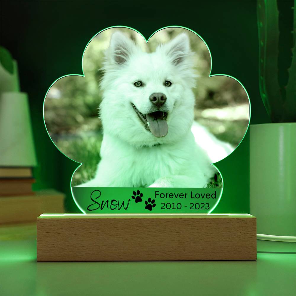 Personalized Dog Memorial LED Lighted Paw Plaque