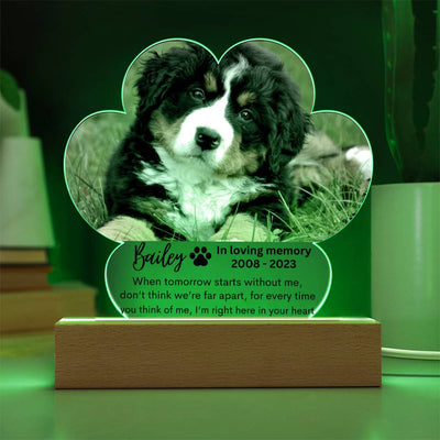 Personalized Pet Memorial LED Lighted Paw Plaque