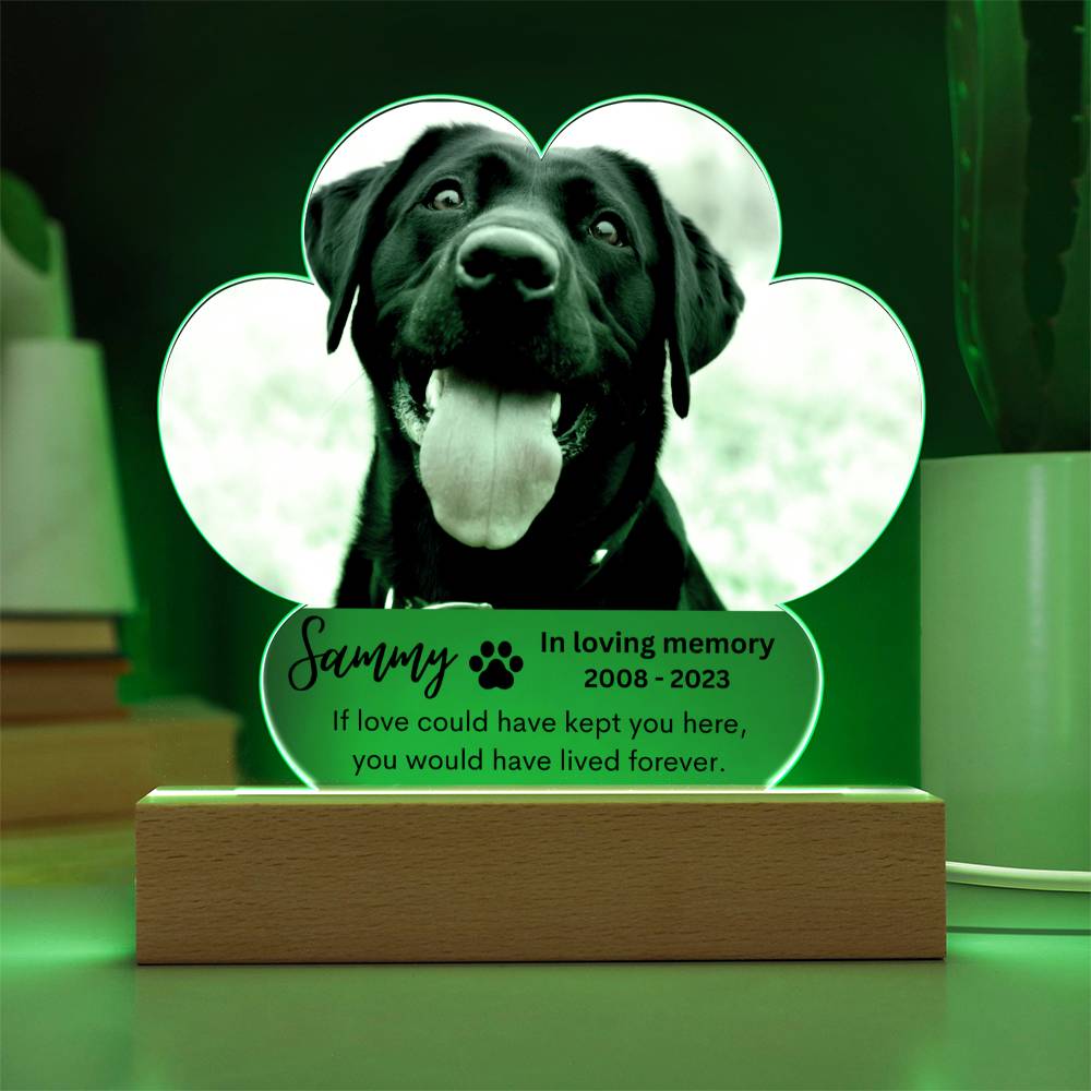 Personalized Pet Memorial LED Lighted Paw Plaque