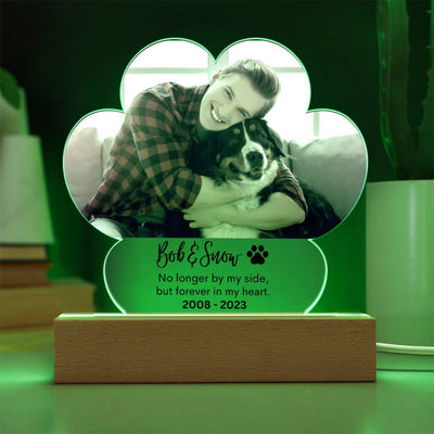 Personalized Pet Memorial LED Lighted Paw Plaque