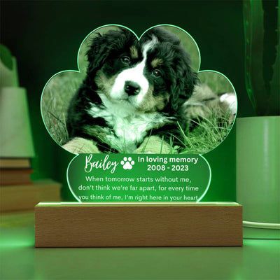 Personalized Pet Memorial LED Lighted Paw Plaque