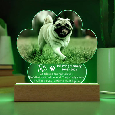 Personalized Pet Memorial LED Lighted Paw Plaque