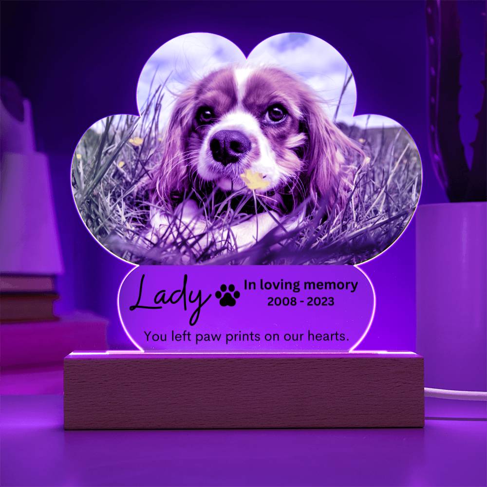 Personalized Pet Memorial LED Lighted Paw Plaque