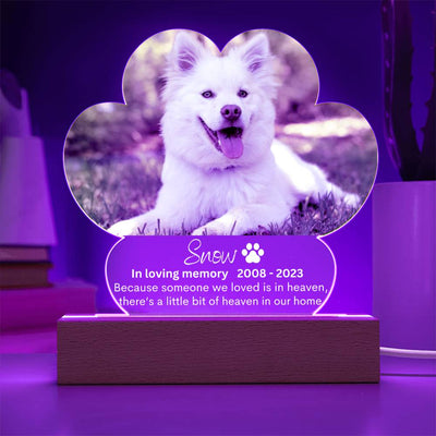 Personalized Pet Memorial LED Lighted Paw Plaque