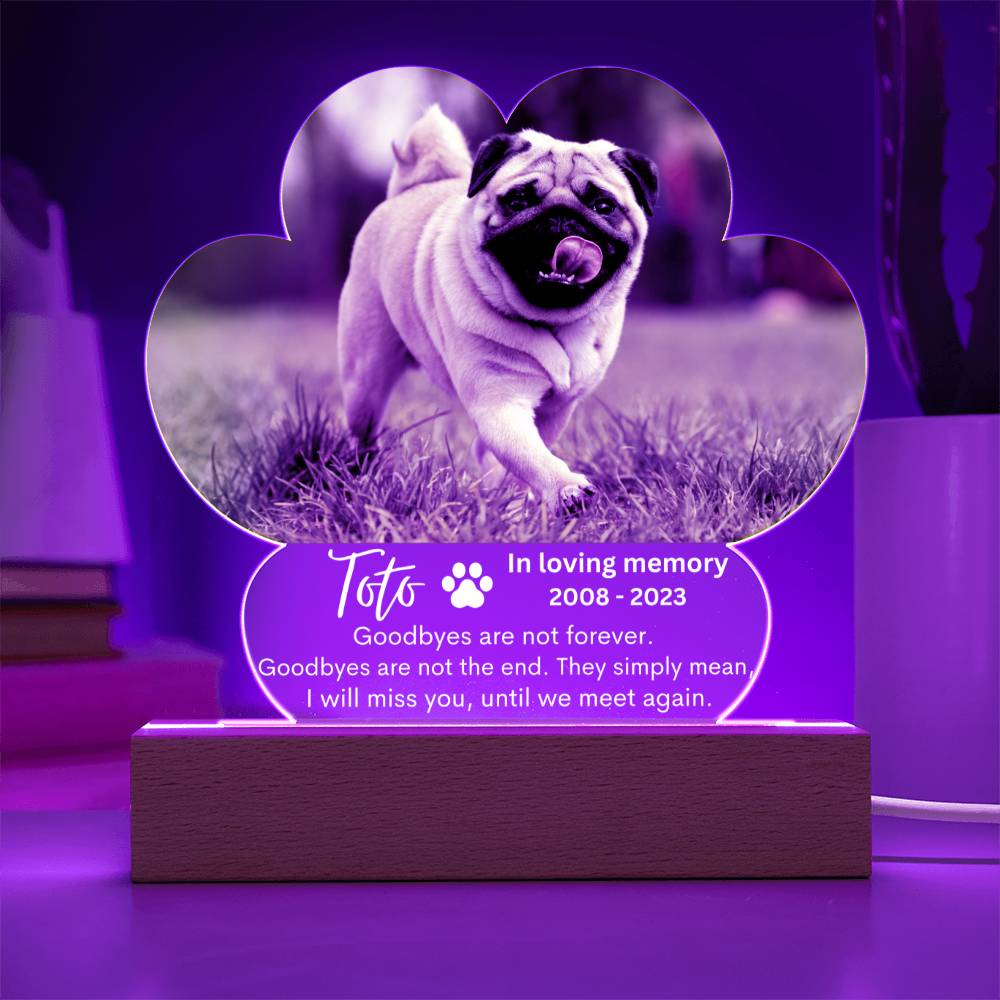 Personalized Pet Memorial LED Lighted Paw Plaque