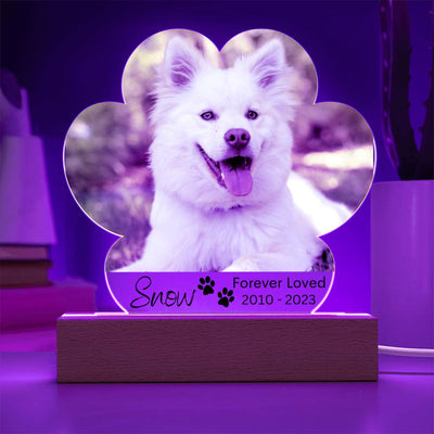 Personalized Dog Memorial LED Lighted Paw Plaque