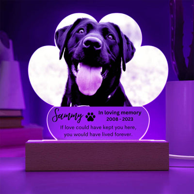 Personalized Pet Memorial LED Lighted Paw Plaque