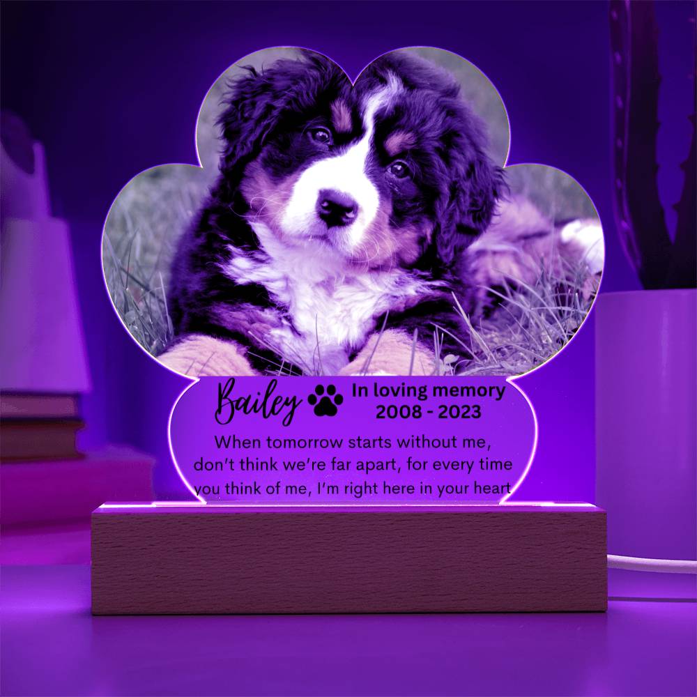 Personalized Pet Memorial LED Lighted Paw Plaque