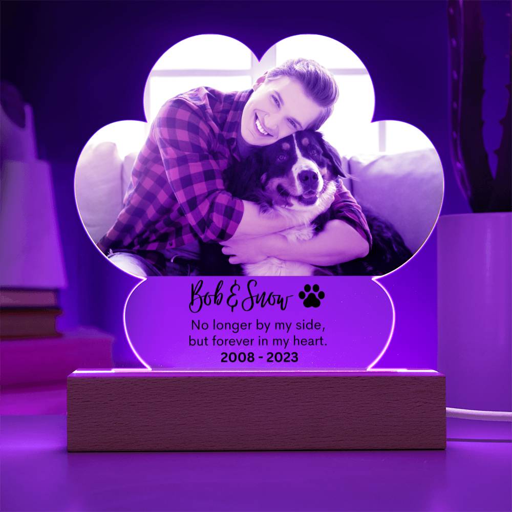 Personalized Pet Memorial LED Lighted Paw Plaque