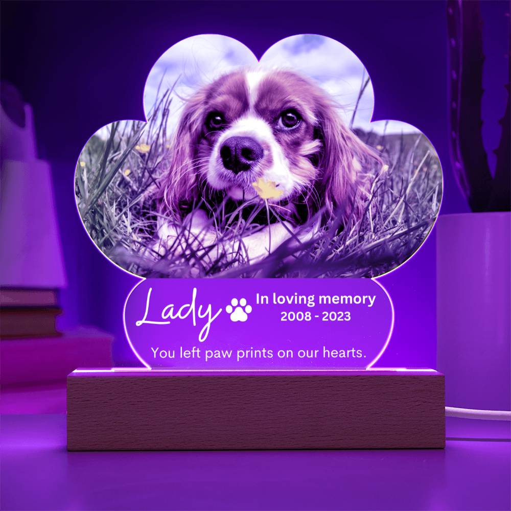 Personalized Pet Memorial LED Lighted Paw Plaque